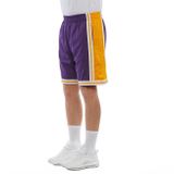 Mitchell &amp; Ness shorts Los Angeles Lakers purple/yellow Swingman Shorts 